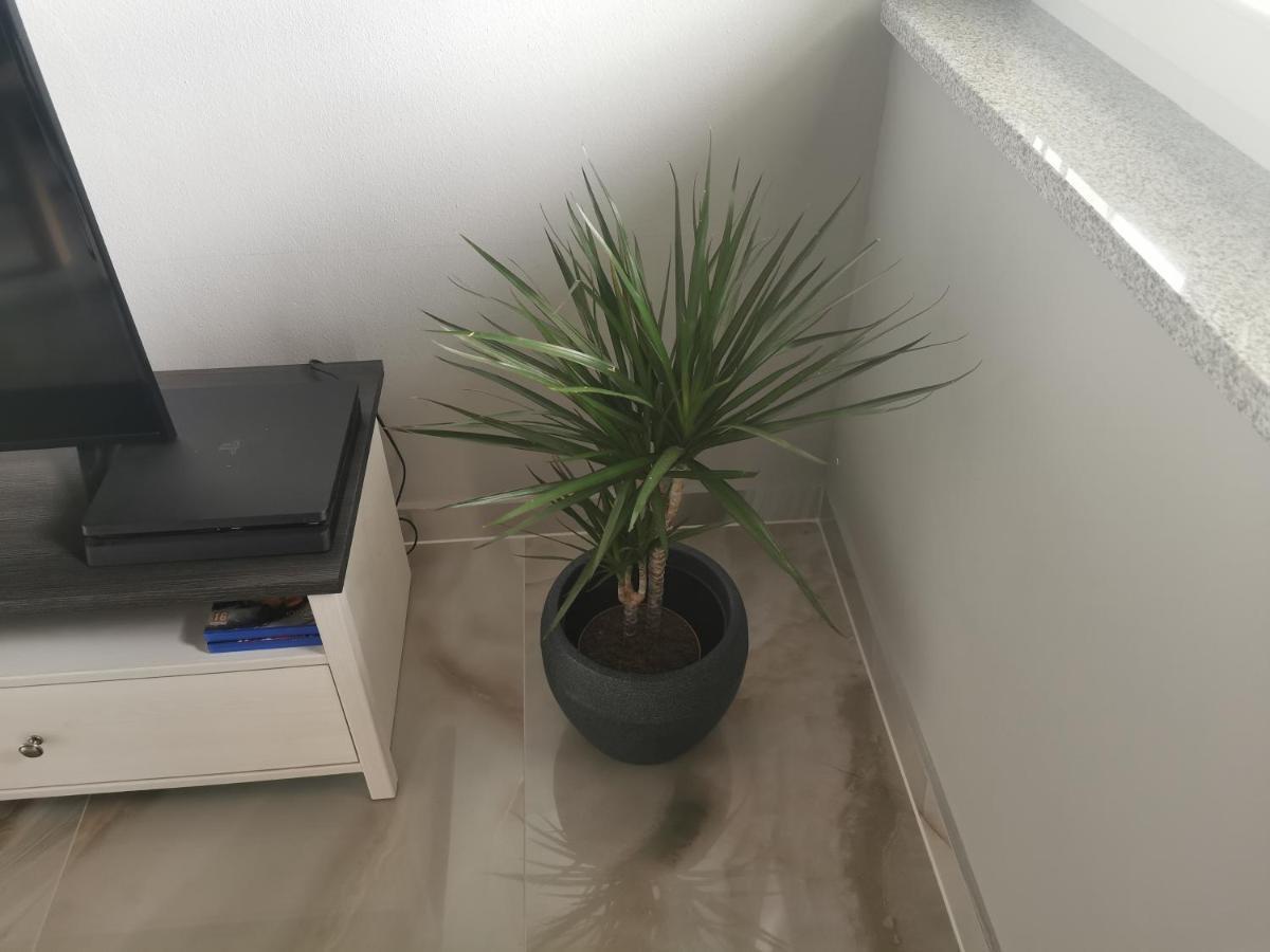 Apartment Luki Povile Exterior photo